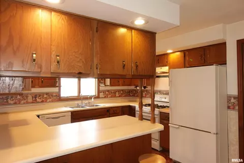 215 E Holmes St, Oneida, IL 61467 photo 28