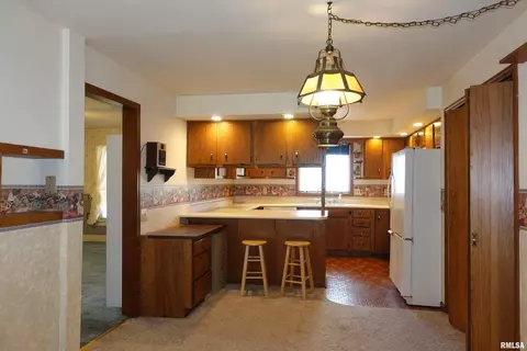 215 E Holmes St, Oneida, IL 61467 photo 26