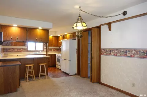 215 E Holmes St, Oneida, IL 61467 photo 25
