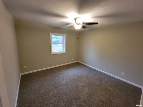 37 Devine Dr, Riverton, IL 62561 photo 26