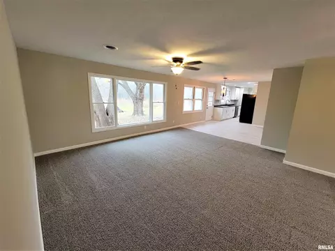 37 Devine Dr, Riverton, IL 62561 photo 9