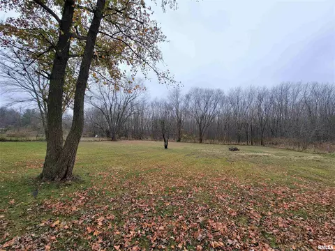 37 Devine Dr, Riverton, IL 62561 photo 5