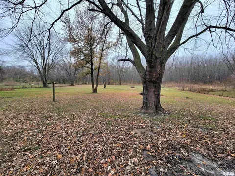 37 Devine Dr, Riverton, IL 62561 photo 4