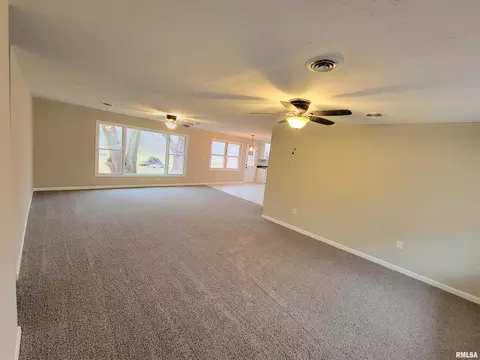 37 Devine Dr, Riverton, IL 62561 photo 14