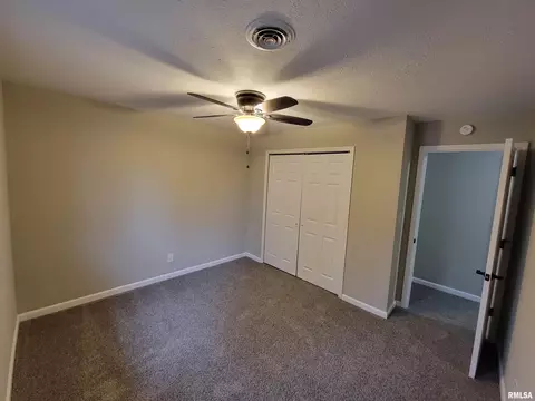 37 Devine Dr, Riverton, IL 62561 photo 25