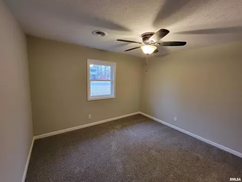 37 Devine Dr, Riverton, IL 62561 photo 24