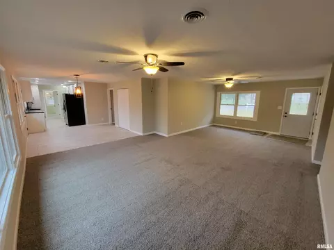 37 Devine Dr, Riverton, IL 62561 photo 11