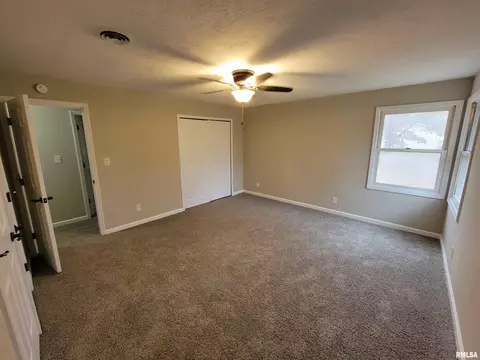 37 Devine Dr, Riverton, IL 62561 photo 23