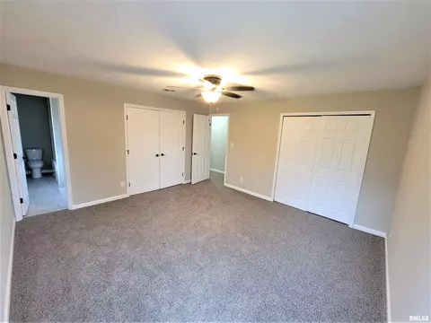 37 Devine Dr, Riverton, IL 62561 photo 20