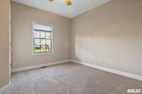 6513 Winterberry Ln, Springfield, IL 62712 photo 23