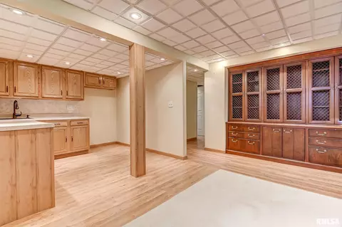 232 Heatherstone Dr, Chatham, IL 62629 photo 28