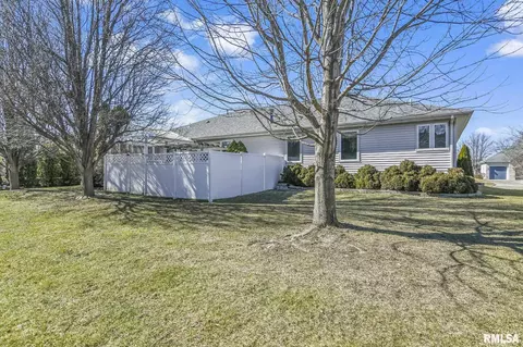 232 Heatherstone Dr, Chatham, IL 62629 photo 42