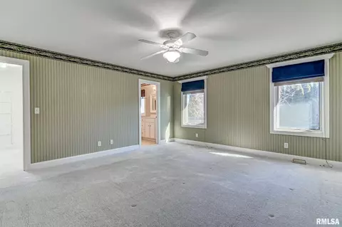 232 Heatherstone Dr, Chatham, IL 62629 photo 19