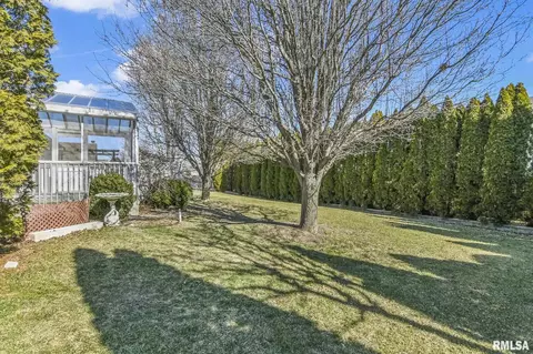 232 Heatherstone Dr, Chatham, IL 62629 photo 46