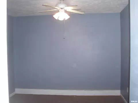 117 E Springfield St, Virginia, IL 62691 photo 8