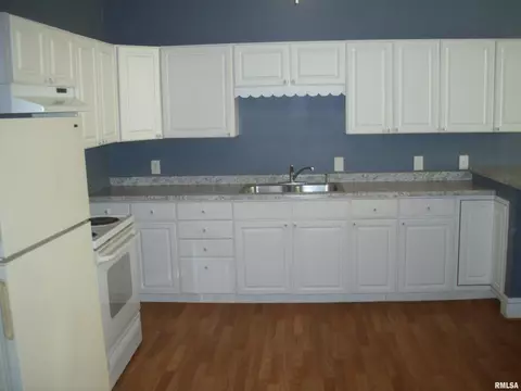 117 E Springfield St, Virginia, IL 62691 photo 3