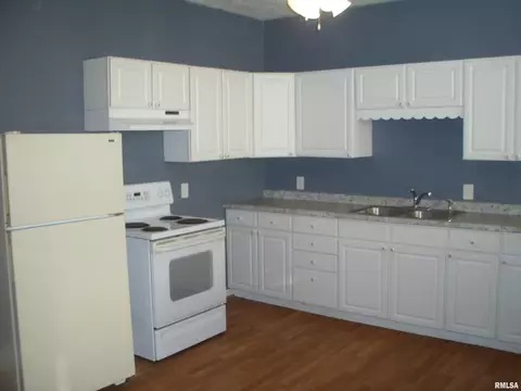 117 E Springfield St, Virginia, IL 62691 photo 5