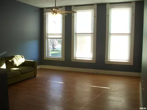 117 E Springfield St, Virginia, IL 62691 photo 2