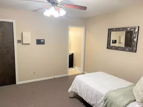 11629 Maurer Rd, Buffalo, IL 62515 photo 21
