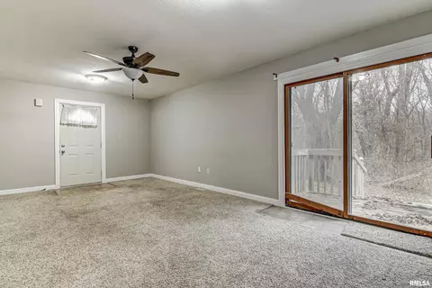 3344 Mars Ave, Springfield, IL 62707 photo 39