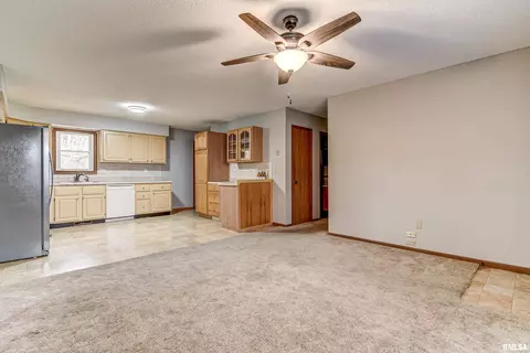 3344 Mars Ave, Springfield, IL 62707 photo 23