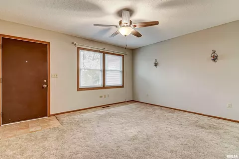 3344 Mars Ave, Springfield, IL 62707 photo 20