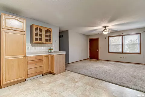 3344 Mars Ave, Springfield, IL 62707 photo 31