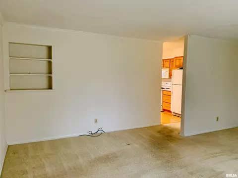 47 Radcliff Rd, Springfield, IL 62703 photo 3