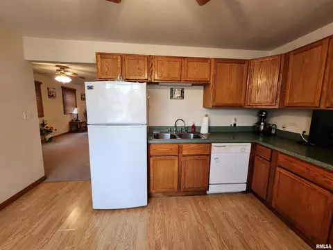 36 Lilac Ln, Springfield, IL 62702 photo 9