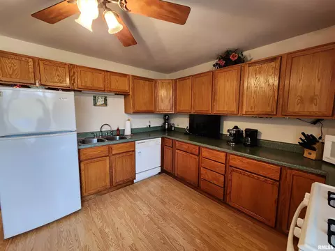 36 Lilac Ln, Springfield, IL 62702 photo 11