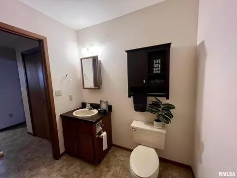 3514 St Francis Dr, Springfield, IL 62703 photo 17