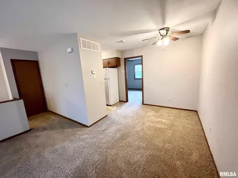 3514 St Francis Dr, Springfield, IL 62703 photo 8