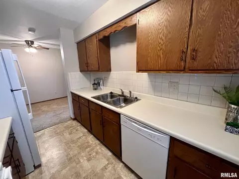 3514 St Francis Dr, Springfield, IL 62703 photo 4
