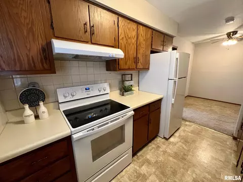 3514 St Francis Dr, Springfield, IL 62703 photo 5