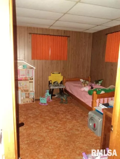 219 E 3rd St, Maquon, IL 61458 photo 6