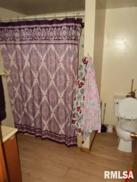 219 E 3rd St, Maquon, IL 61458 photo 9