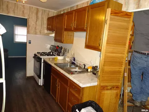 2835 S Lincoln Ave, Springfield, IL 62704 photo 5