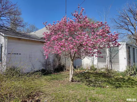 202 N Olive St, Bath, IL 62617 photo 2