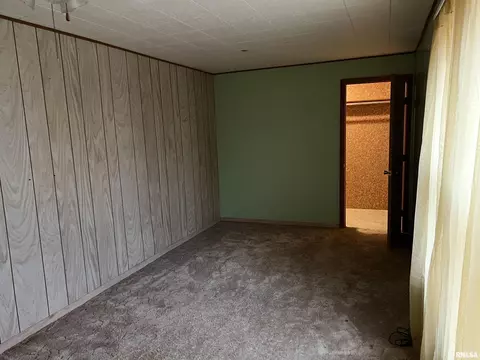 202 N Olive St, Bath, IL 62617 photo 14