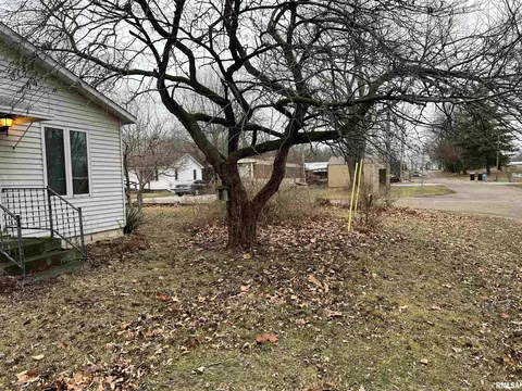 202 N Olive St, Bath, IL 62617 photo 21