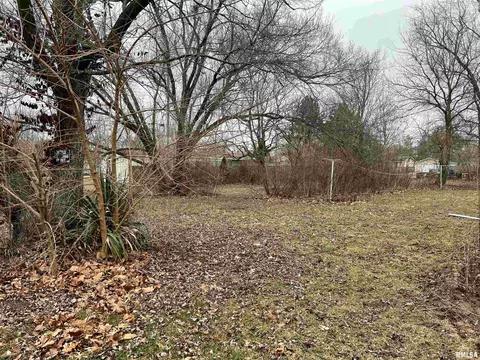 202 N Olive St, Bath, IL 62617 photo 23