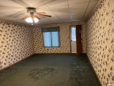 202 N Olive St, Bath, IL 62617 photo 9