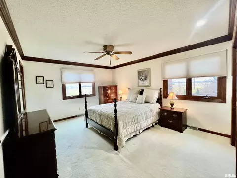 49 Red Fox Ct, Springfield, IL 62712 photo 29