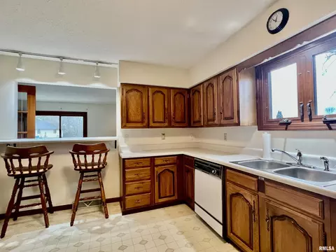 49 Red Fox Ct, Springfield, IL 62712 photo 16