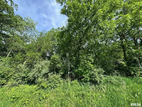 Lot 1 Fleisher Road, Galesburg, IL 61401