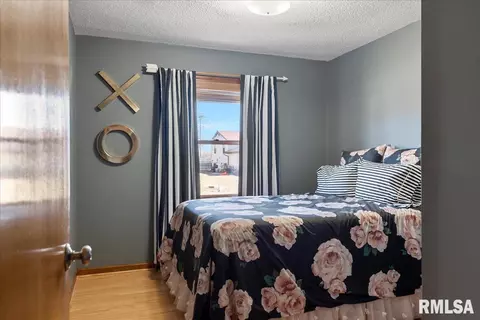 5241 Carlton Dr, Springfield, IL 62712 photo 23