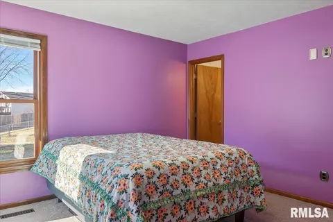 5241 Carlton Dr, Springfield, IL 62712 photo 20