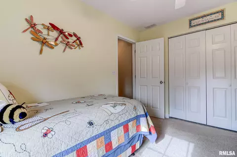 6508 Winterberry Ln, Springfield, IL 62712 photo 29