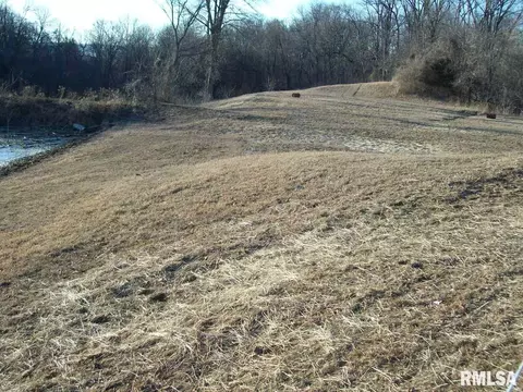 1120 Mcglaughlin Rd, Bluffs, IL 62621 photo 36