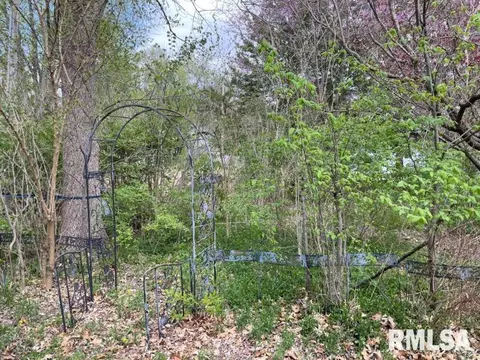 200 N Pear St, Topeka, IL 61567 photo 8